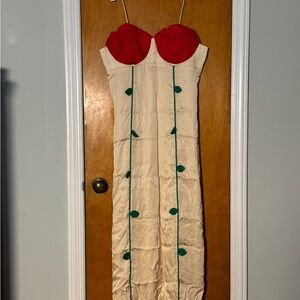 Farm Rio Red and Cream Dress